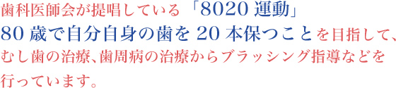 歯科医師会が提唱している「8020運動」80歳で自分自身の歯を20本保つことを目指して、むし歯の治療、歯周病の治療からブラッシング指導などを行っています。